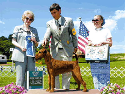 Stradford Kennels in Long Valley NJ grooming for show dogs.